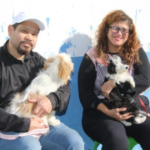 Navegantes reforça controle populacional de cães e gatos