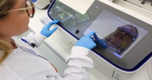 SC usa DNA para verificar se peixe vendido é o mesmo do rótulo