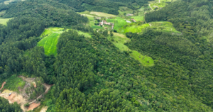 Estado lança programa de R$ 70 milhões para preservar florestas
