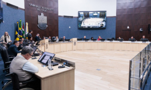 Câmara de Itajaí debate proteção animal, esporte social e atendimento nos CRAS