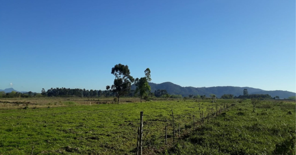 Pesquisa sobre zona rural de Itajaí aponta potencial do setor