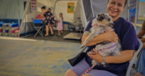 Navegantes anuncia novo mutirão gratuito para cães e gatos