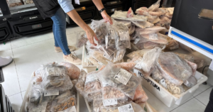 Proprietário de peixaria é preso após fiscalização no Litoral Norte