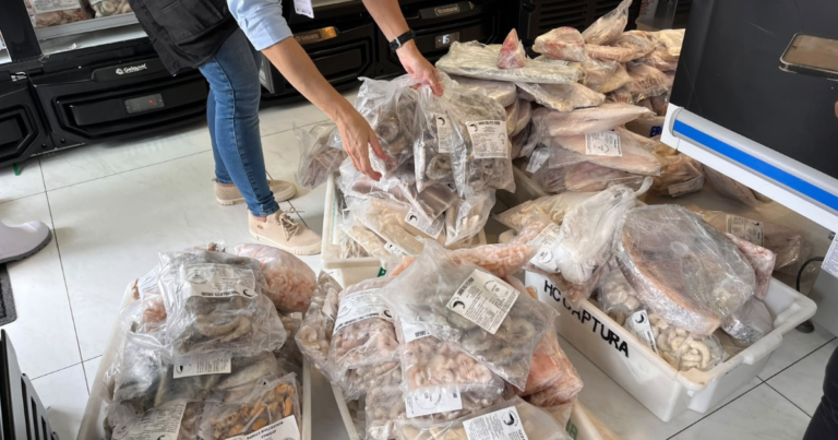 Fiscalização do MPSC em peixaria de Balneário Camboriú que resultou na prisão do proprietário.